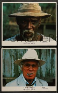 2k152 GATHERING OF OLD MEN 8 LCs '87 Louis Gossett Jr., Holly Hunter, Richard Widmark!