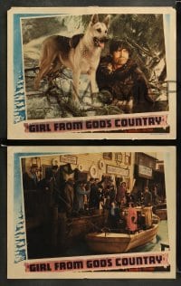 2k658 GIRL FROM GOD'S COUNTRY 3 LCs '40 Chester Morris, Ace the Dog & Charles Bickford in Alaska!
