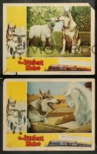 2k566 LITTLEST HOBO 4 LCs '58 German Shepherd canine dogs and really cool goat & lamb!