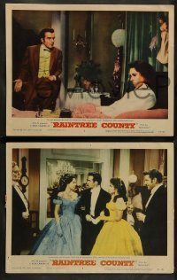 2k440 RAINTREE COUNTY 6 LCs '57 beautiful Elizabeth Taylor, Montgomery Clift, Eva Marie Saint!