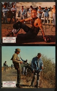 2r280 COOL HAND LUKE 6 French LCs '67 incredible close up of Paul Newman, prison escape classic!