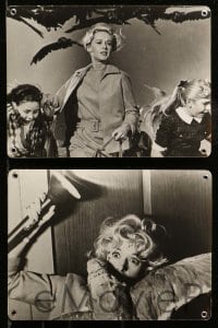 2r048 BIRDS 8 Swiss LCs '63 Alfred Hitchcock, 'Tipi' Hedren, Taylor, different images!