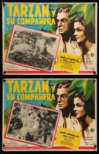 2s574 TARZAN & HIS MATE 3 Mexican LCs R50s Johnny Weissmuller & sexy Maureen O'Sullivan!
