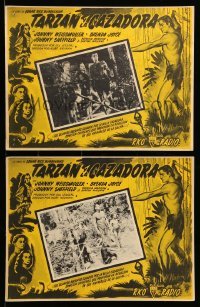 2s555 TARZAN & THE HUNTRESS 8 Mexican LCs '47 Johnny Weissmuller, Brenda Joyce, Johnny Sheffield!