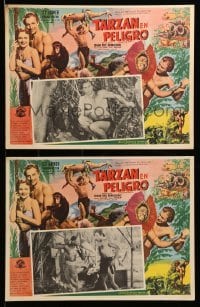 2s562 TARZAN'S PERIL 7 Mexican LCs R50s Lex Barker with chimp & threatened by native man!