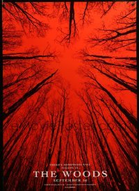 2t173 BLAIR WITCH teaser DS 1sh '16 evil is hiding in The Woods, wacky fake title, red background!