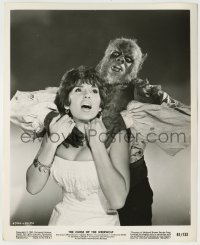 2w256 CURSE OF THE WEREWOLF candid 8.25x10 still '61 monster Oliver Reed attacking sexy Romain!