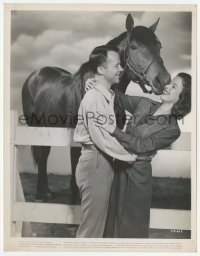 2w884 STORY OF SEABISCUIT 8x10.25 still '49 Shirley Temple & Lon McCallister hugging by race horse!