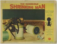 3c483 INCREDIBLE SHRINKING MAN LC #6 '57 special fx image of tiny man battling giant tarantula!