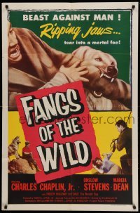 3f283 FANGS OF THE WILD 1sh '54 great image of Shep the Wonder Dog tearing into his foe!