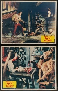 3g961 SINBAD & THE EYE OF THE TIGER 2 LCs '77 Ray Harryhausen effects, Patrick Wayne, Jane Seymour!