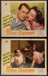 3g994 WILD HARVEST 2 LCs '47 great images of Alan Ladd, sexiest Dorothy Lamour!