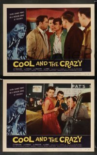 3g097 COOL & THE CRAZY 8 LCs '58 savage punks on a weekend binge of violence, classic '50s!