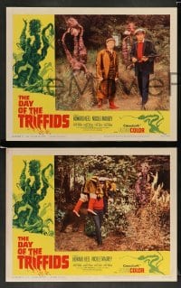 3g131 DAY OF THE TRIFFIDS 8 LCs '62 classic English sci-fi horror, Howard Keel, cool border art!