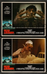 3g136 DEAD & BURIED 8 LCs '81 wild horror images, James Farentino, Melody Anderson!
