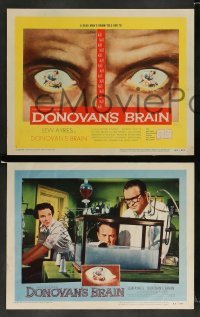 3g153 DONOVAN'S BRAIN 8 LCs '53 Lew Ayres, Steve Brodie, from the novel by Curt Siodmak!