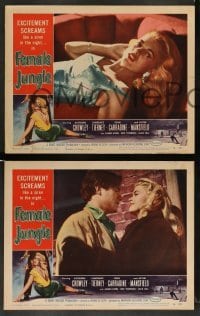 3g190 FEMALE JUNGLE 8 LCs '56 Kathleen Crowley, Lawrence Tierney, sexiest Jayne Mansfield!
