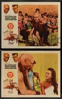 3g335 KINGS OF THE SUN 8 LCs '63 images of Mayan Yul Brynner, George Chakiris, Shirley Anne Field!