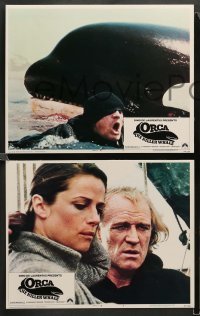3g387 ORCA 8 LCs '77 great images of Richard Harris, Charlotte Rampling, killer whale!