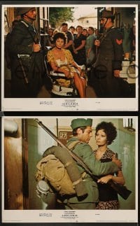 3g466 SUNFLOWER 8 LCs '70 Vittorio De Sica's I Girasoli, Sophia Loren, Marcello Mastroianni!