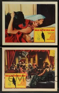 3g748 WALK ON THE WILD SIDE 4 LCs '62 great images of Laurence Harvey, Jane Fonda, Capucine!