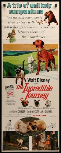 3m596 INCREDIBLE JOURNEY insert '63 Disney, art of Bull Terrier, Siamese cat & Labrador Retriever!