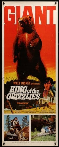 3m616 KING OF THE GRIZZLIES insert '70 Walt Disney, great artwork of giant bear!