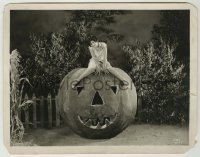 3s248 ETHLYNE CLAIR 8x10.25 still '20s the Universal featured player on a gigantic fake pumpkin!