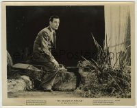 3s249 FALCON IN MEXICO 8x10.25 still '44 c/u of detective Tom Conway looking worried by dead body!