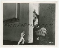 3s387 INCREDIBLE SHRINKING MAN 8.25x10 still '57 fx image of Grant Williams fighting off giant cat!