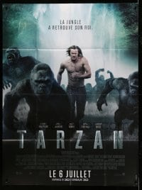 3y804 LEGEND OF TARZAN advance French 1p '16 David Yates, Skarsgard in the title role with apes!