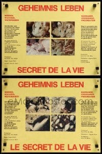 3y472 GEHEIMNIS LEBEN 4 Swiss LCs '66 all kinds of animals procreating, directed by August Kern!