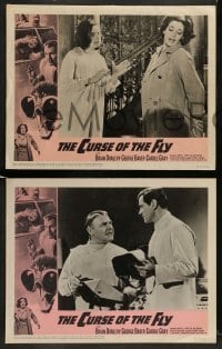 3z100 CURSE OF THE FLY 8 LCs '65 Brian Donlevy, English sci-fi monster sequel!