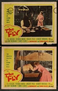 3z477 FLY 7 LCs '58 classic sci-fi, Vincent Price,Owens had to kill the thing her husband had become