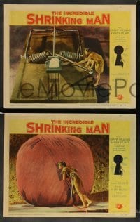 3z837 INCREDIBLE SHRINKING MAN 3 LCs '57 classic sci-fi, Williams, cool special effects images!