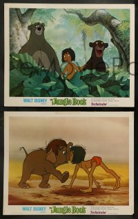 3z593 JUNGLE BOOK 6 LCs '67 Disney cartoon classic, Baloo helps Mowgli get bananas from tree!