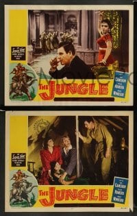 3z663 JUNGLE 5 LCs '52 cool images of Marie Windsor, Rod Cameron, Cesar Romero in India!