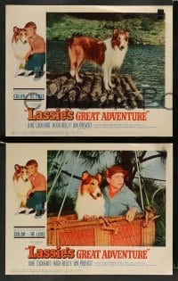 3z256 LASSIE'S GREAT ADVENTURE 8 LCs '63 great images of most classic Collie dog!