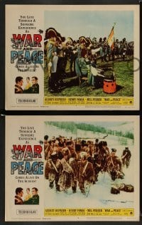 3z690 WAR & PEACE 5 LCs R63 Audrey Hepburn, Vittorio Gassman, Mel Ferrer, Leo Tolstoy epic!