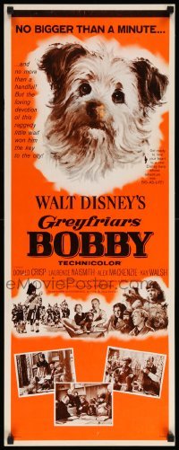 4c501 GREYFRIARS BOBBY insert '61 Walt Disney, huge close up art of cute Skye Terrier!