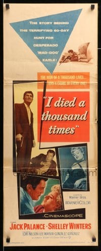 4c535 I DIED A THOUSAND TIMES insert '55 Jack Palance & sexy Shelley Winters, Lee Marvin!