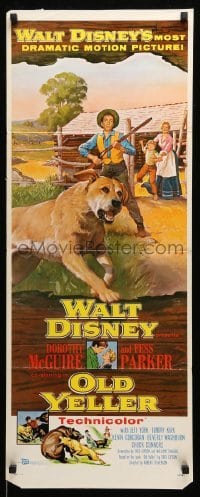 4c681 OLD YELLER insert '57 Dorothy McGuire, Fess Parker, art of Disney's classic canine!