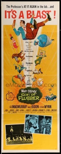 4c811 SON OF FLUBBER insert '63 Walt Disney, art of absent-minded professor Fred MacMurray!
