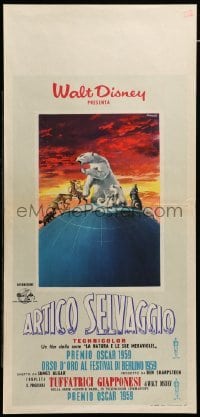 4c251 WHITE WILDERNESS Italian locandina '59 Disney, polar bear & arctic animals, w/border design!