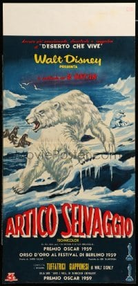4c250 WHITE WILDERNESS Italian locandina '59 Disney, bear & arctic animals, full-bleed design!
