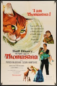 4j887 THREE LIVES OF THOMASINA 1sh '64 Walt Disney, great art of winking & smiling cat!