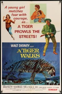 4j894 TIGER WALKS style A 1sh '64 Disney, artwork of giant tiger on the prowl!