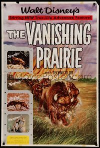 4j942 VANISHING PRAIRIE 1sh '54 a Walt Disney True-Life Adventure, cool art of stampeding buffalo!