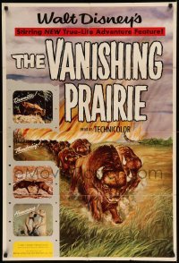 4j943 VANISHING PRAIRIE style A 1sh '54 Walt Disney True-Life Adventure, art of stampeding buffalo!