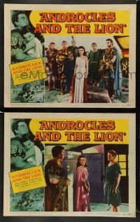 4k906 ANDROCLES & THE LION 2 LCs '52 Victor Mature, beautiful Jean Simmons, border art of big cat!